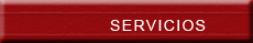 seleccionar boton para navegar a servicios